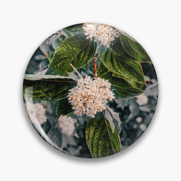 Item preview, Season to Taste designed and sold by Steve Walser.