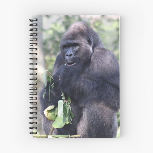 Item preview, Western Lowland Gorilla designed and sold by StellarSophie.