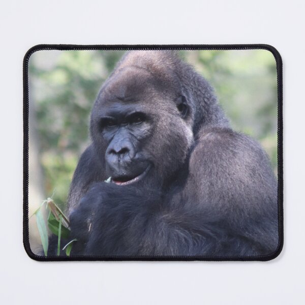 Item preview, Western Lowland Gorilla designed and sold by StellarSophie.