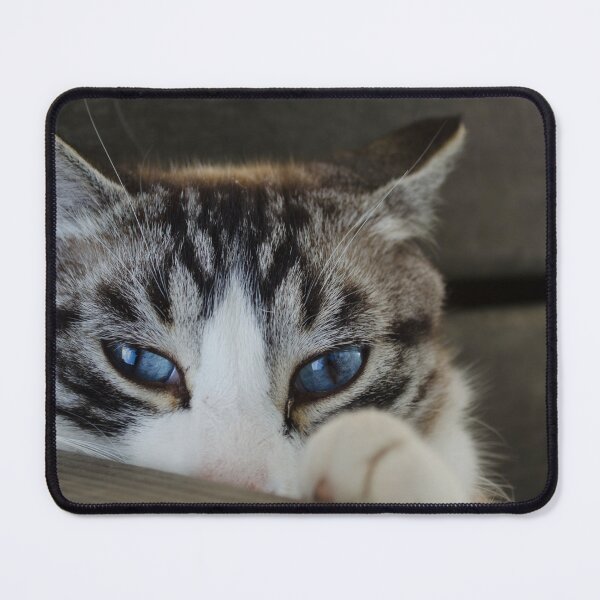 Item preview, Blue eyed beauty designed and sold by Halobrianna.