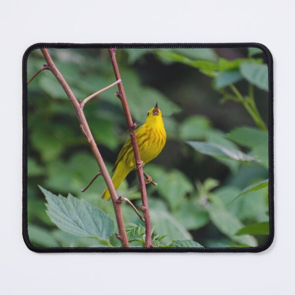Item preview, Singing Warbler designed and sold by Halobrianna.
