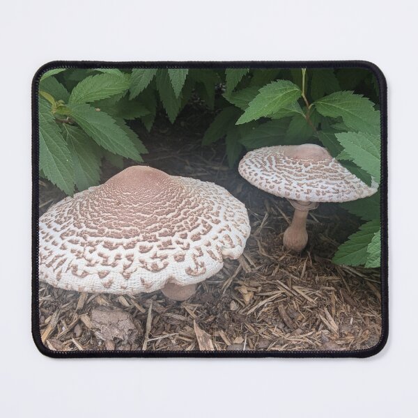 Item preview, Two cute mushrooms with white and beige spotted caps in shady forest designed and sold by InnaEvans.