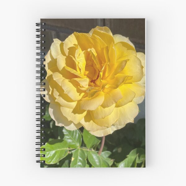 Item preview, Foto de rosa amarilla designed and sold by A-inProgress.