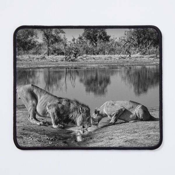 Item preview, The Afterglow In Black and White designed and sold by Kay Brewer.