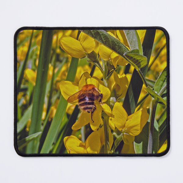 Item preview, Bee 3 designed and sold by WeirdMDK.