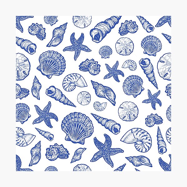 Vista previa del artículo con la obra «Blue Seashell Print», diseñado y vendido por Elizabeth Weglein.
