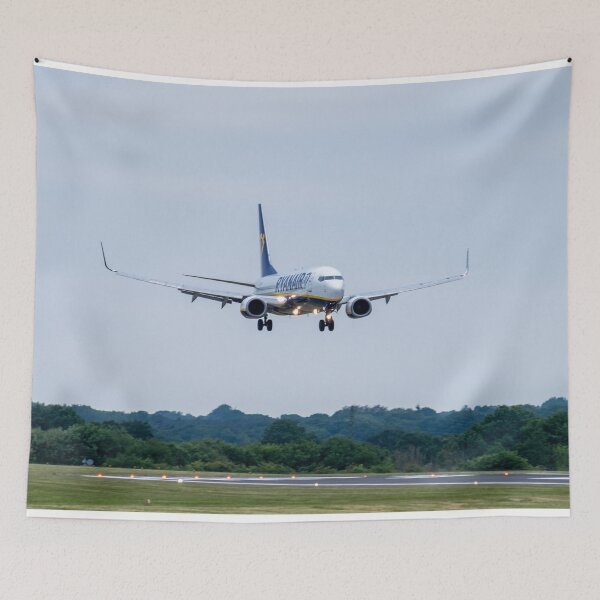 Item preview, MAN from DUB Ryanair Boeing 737-8AS designed and sold by Skyframe Aviation.