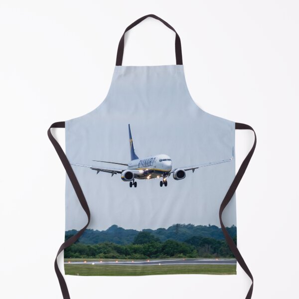 Item preview, MAN from DUB Ryanair Boeing 737-8AS designed and sold by Skyframe Aviation.