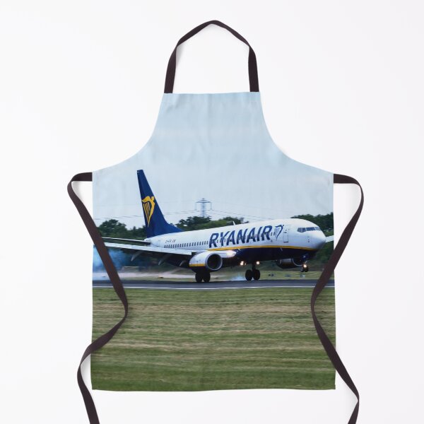 Item preview, MAN from DUB Ryanair Boeing 737-8AS designed and sold by Skyframe Aviation.
