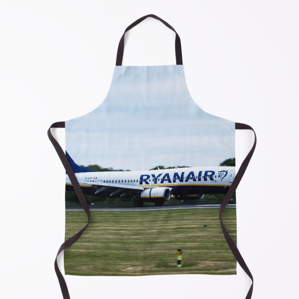 Item preview, MAN from DUB Ryanair Boeing 737-8AS designed and sold by Skyframe Aviation.