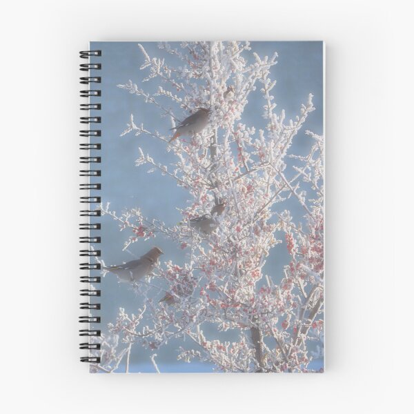 Item preview, Bohemian Waxwings designed and sold by Halobrianna.