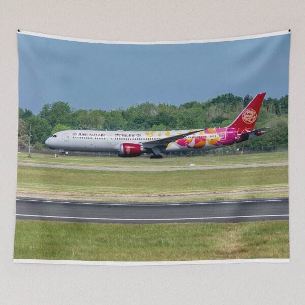 Item preview, MAN to PVG Juneyao Air Boeing 787-9 Dreamliner designed and sold by Skyframe Aviation.