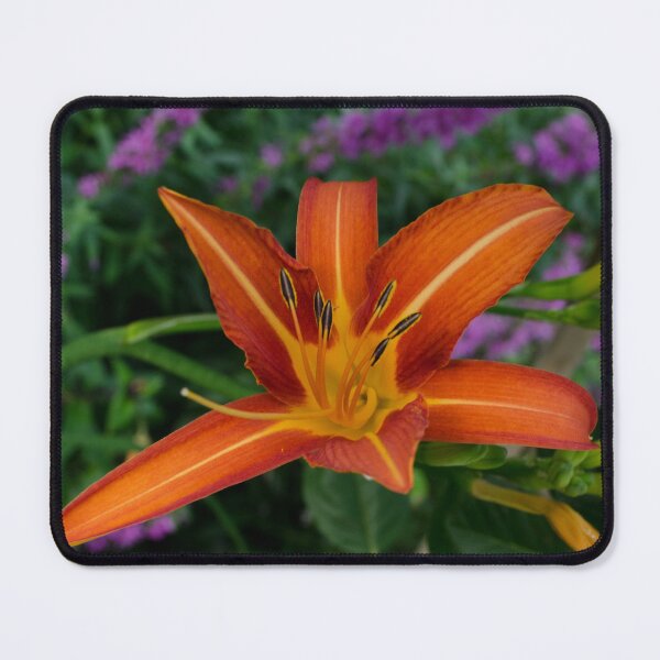 Item preview, Day lily designed and sold by Halobrianna.