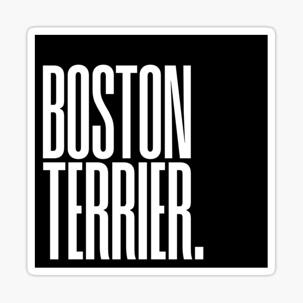 BOSTON TERRIER White Text On A Black Square Boston Terrier Lovers & Boston Terrier Owners Sticker