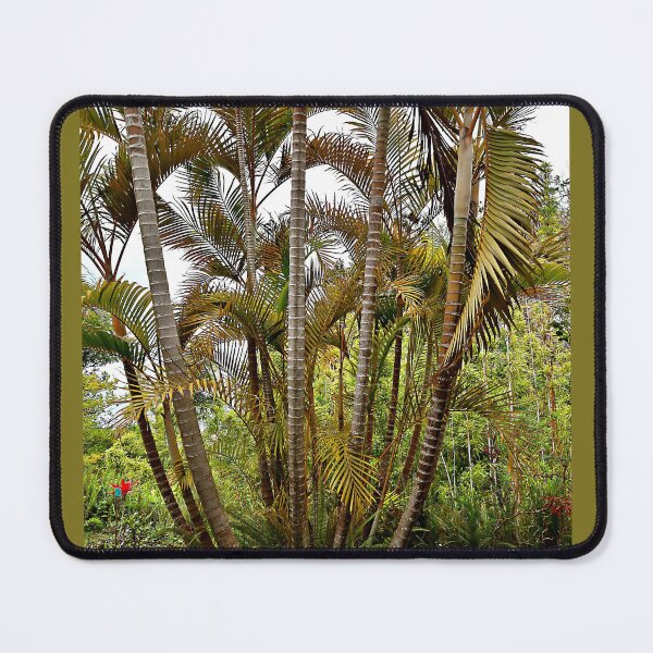 Item preview, A Patch of Areca Palms designed and sold by Martha Sherman.
