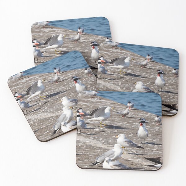 Item preview, Caspian Terns and Gulls On The Dock designed and sold by BackyardBirder.
