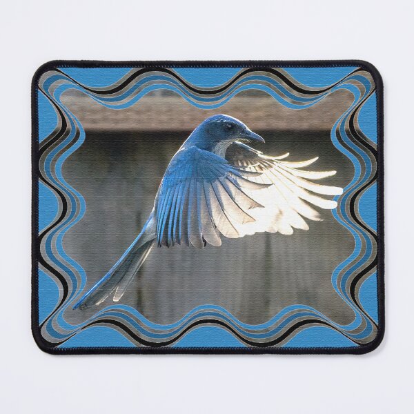 Item preview, Scrub Jay In Flight designed and sold by CarolM.