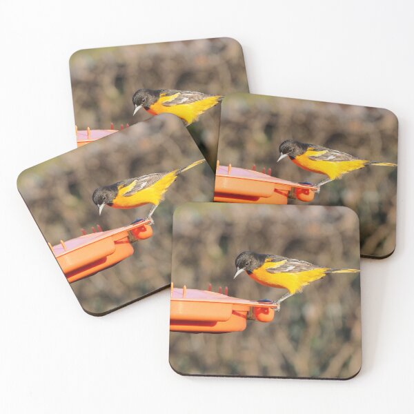 Item preview, Baltimore Oriole Jelly Bird Feeder designed and sold by BackyardBirder.