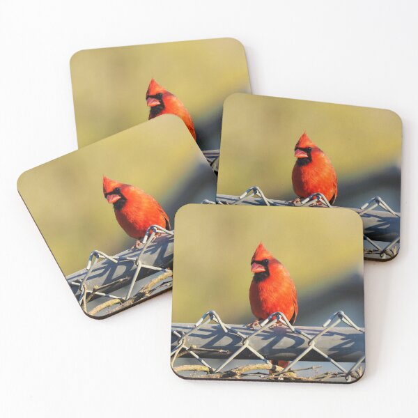 Item preview, Male Northern Cardinal On a Fence designed and sold by BackyardBirder.