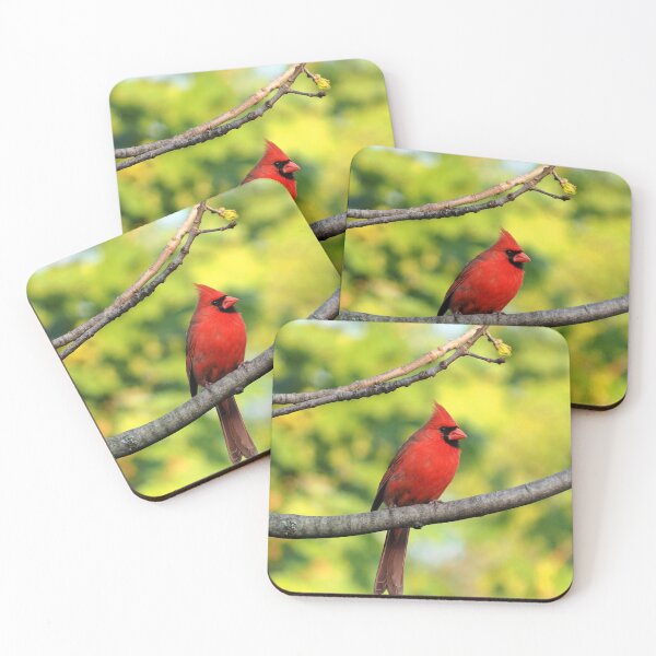 Item preview, Male Northern Cardinal In a Tree designed and sold by BackyardBirder.