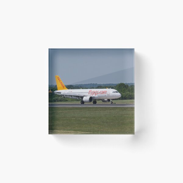 Item preview, MAN from AYT Pegasus Airbus A320-251N designed and sold by Skyframe Aviation.