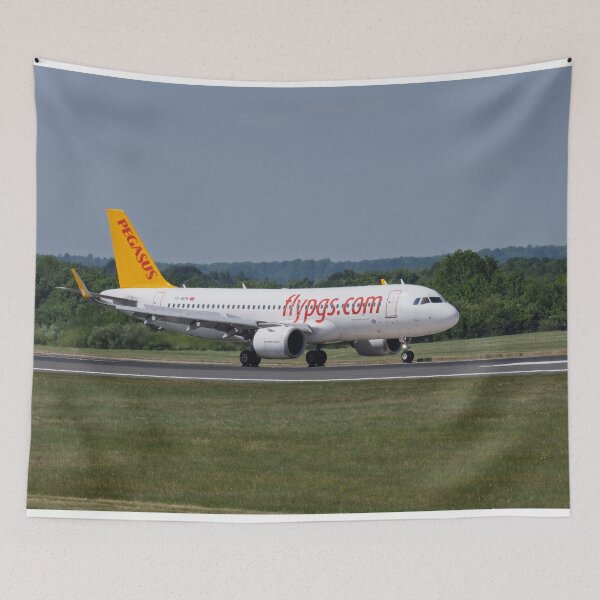 Item preview, MAN from AYT Pegasus Airbus A320-251N designed and sold by Skyframe Aviation.