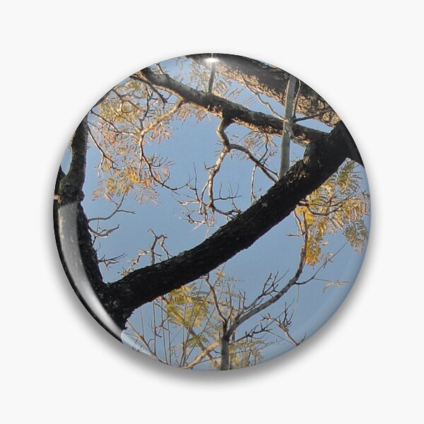 Item preview, Branches designed and sold by STHogan.