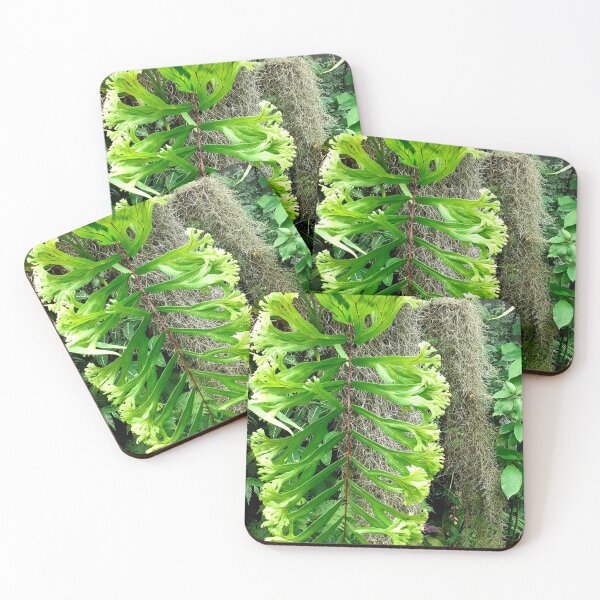 Item preview, Frilly Fern designed and sold by RosJoy.