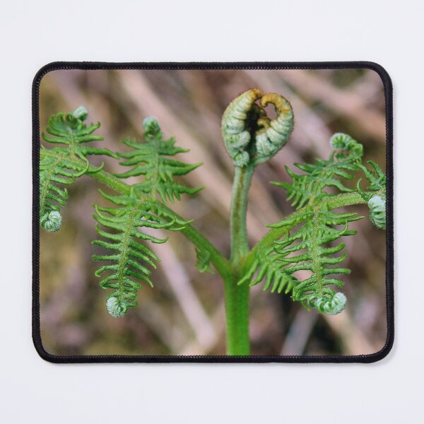 Item preview, fern designed and sold by KathleenDawson.