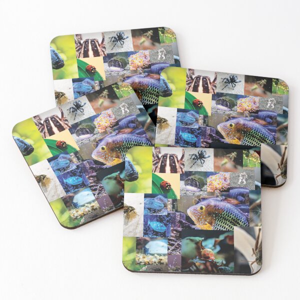 Item preview, Fish and Insect Collage designed and sold by Lahila Designs.