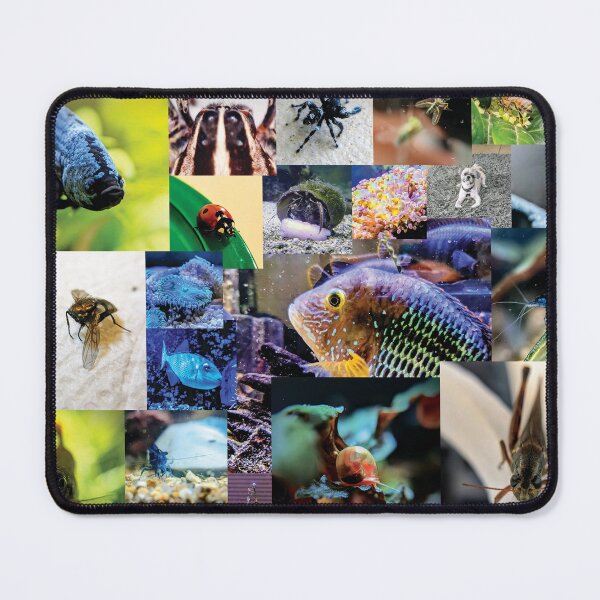 Item preview, Fish and Insect Collage designed and sold by Lahila Designs.