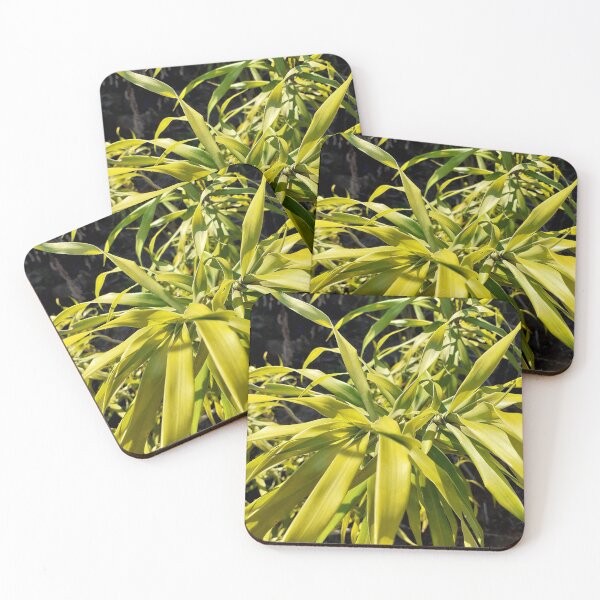 Item preview, Plant pleasure designed and sold by RosJoy.