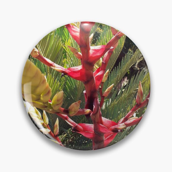 Item preview, Brom Brilliance designed and sold by RosJoy.