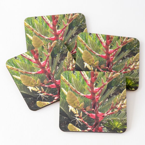 Item preview, Brom Brilliance designed and sold by RosJoy.