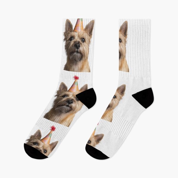 Item preview, Cute Cairn Terrier dog with Party Hat Birthday Celebration designed and sold by LazyOwlStore.
