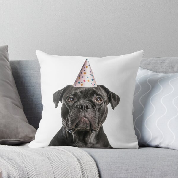 Artikelvorschau, Niedlicher Cane Corso Hund mit Partyhut Geburtstagsfeier entworfen und verkauft von LazyOwlStore.