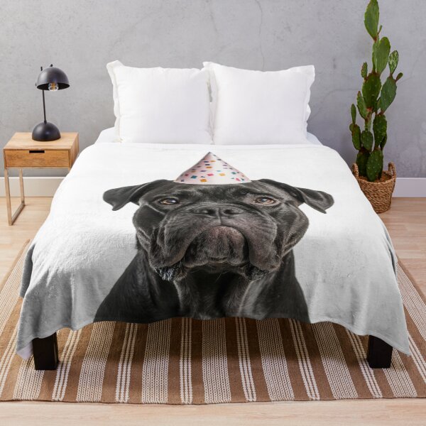 Artikelvorschau, Niedlicher Cane Corso Hund mit Partyhut Geburtstagsfeier entworfen und verkauft von LazyOwlStore.