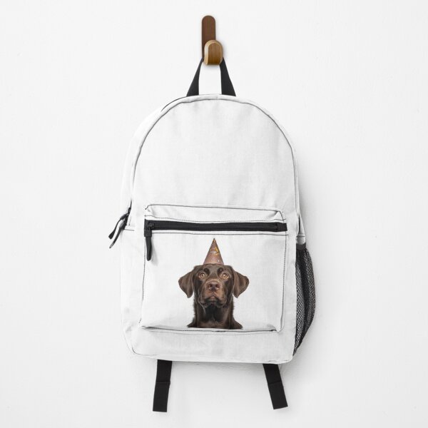 Item preview, Cute Chesapeake Bay Retriever dog with Party Hat Birthday Celebration designed and sold by LazyOwlStore.