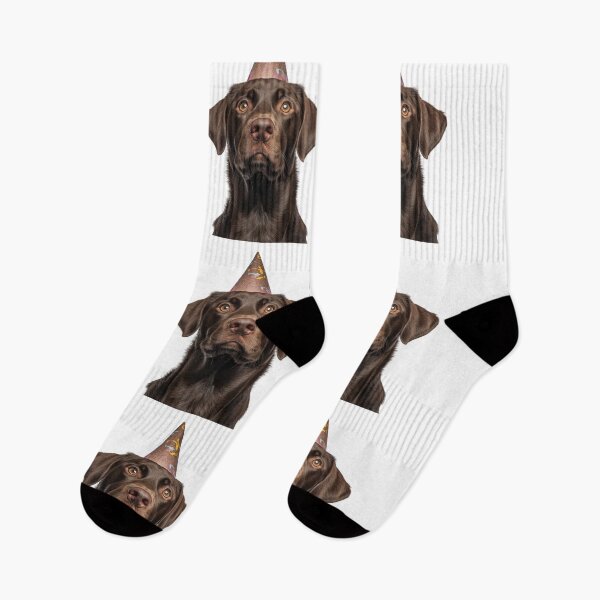 Item preview, Cute Chesapeake Bay Retriever dog with Party Hat Birthday Celebration designed and sold by LazyOwlStore.
