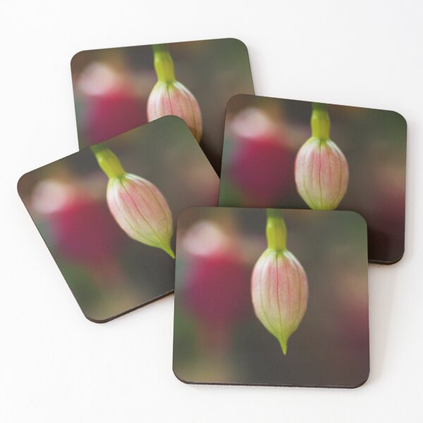 Item preview, Early Evening Fuchsia Bud Solo designed and sold by Joy Watson - Natural Light Photography .