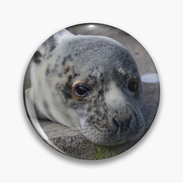 Item preview, Grey Seal Cub Face Portrait designed and sold by Jonathan Lundkvist.