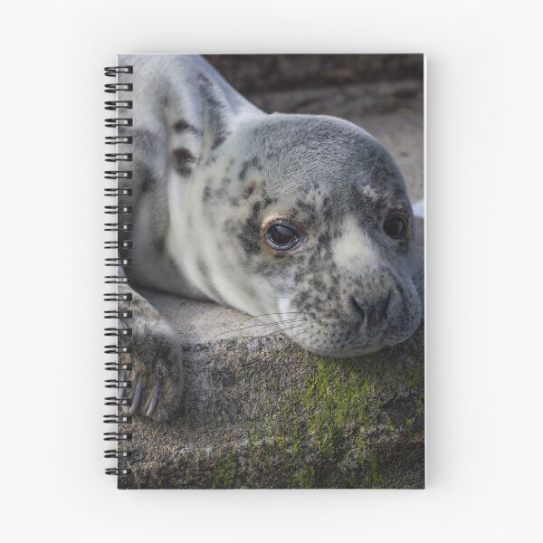 Item preview, Grey Seal Cub Face Portrait designed and sold by Jonathan Lundkvist.