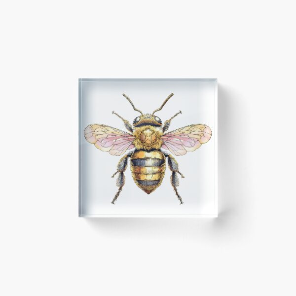 Item preview, Bumblebee sticker designed and sold by I-R-A.