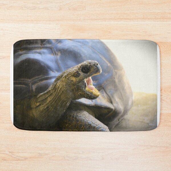Item preview, Hungry Tortoise designed and sold by MercerImages.