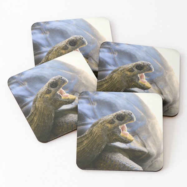 Item preview, Hungry Tortoise designed and sold by MercerImages.
