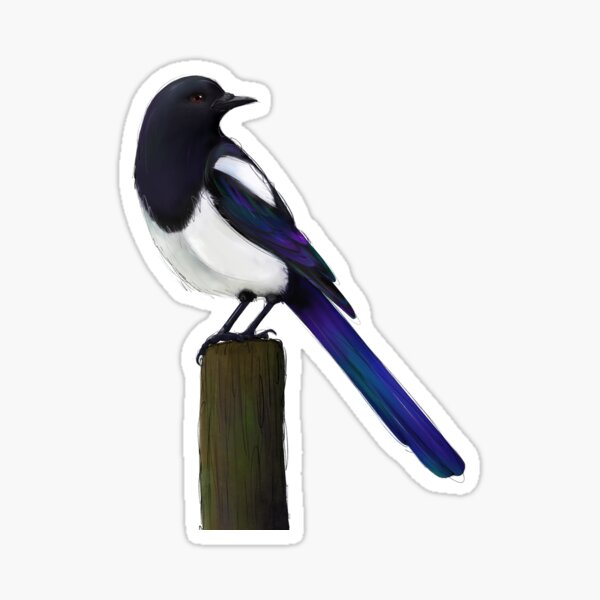 Magpie on Post Sticker