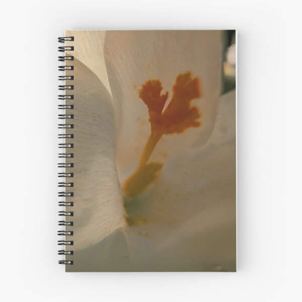 Artikelvorschau, Blume entworfen und verkauft von Katies Gallery .