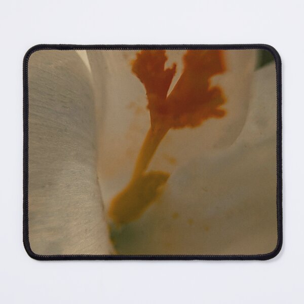 Item preview, flower designed and sold by Katies Gallery .