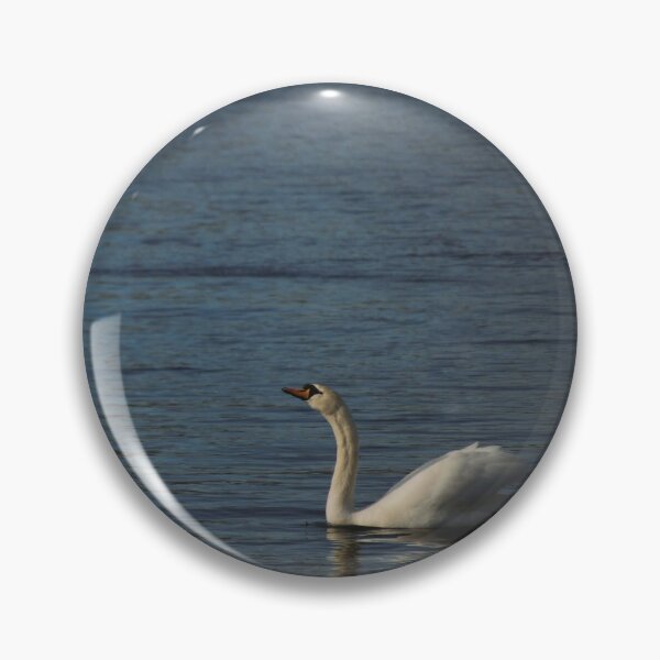 Item preview, swan looking to the sun designed and sold by Katies Gallery .