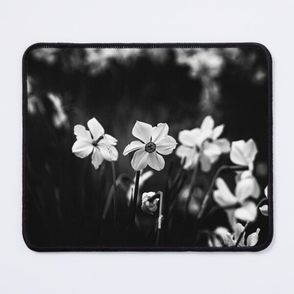 Item preview, Black & White Daffodils designed and sold by ElderIslesPress.